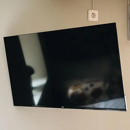 The 1880 Authentic Dream I 500m To Bryggen